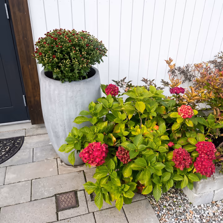 Höstplantering 3